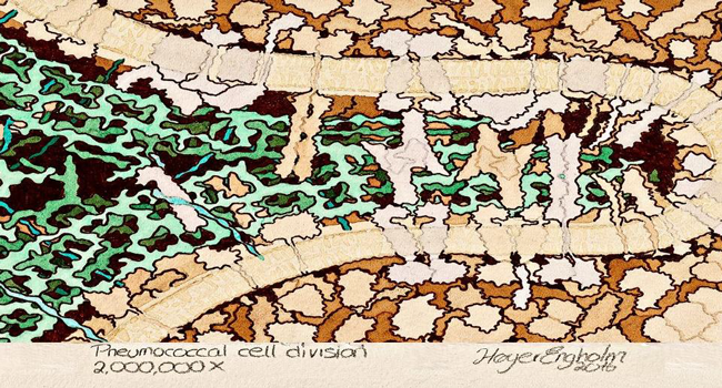 Sci-Vi: Visualisation and animation in science dissemination